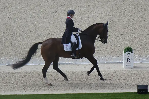Becky Moody and Jagerbomb performing a dressage test; discipline illustration