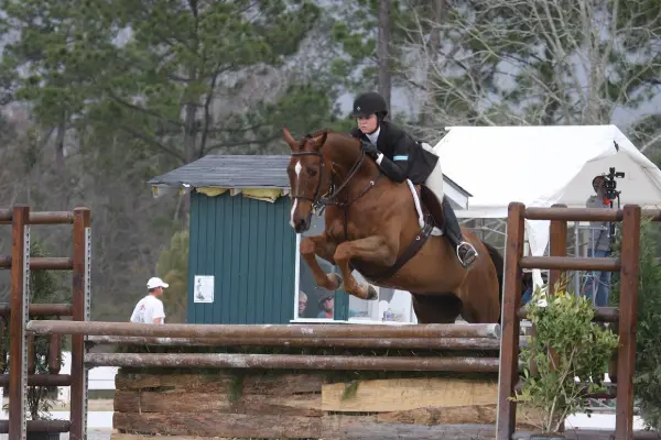 Hunt-seat rider and Hanoverian horse clearing a natural-coloured fence