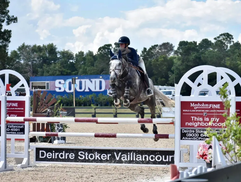 Grey sport horse and rider jumping in competition